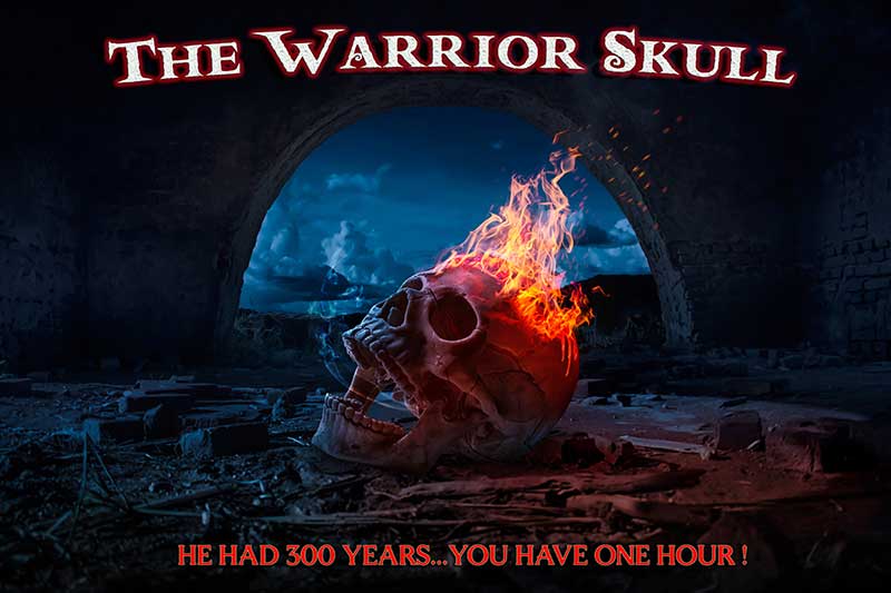 The Warrior Skull